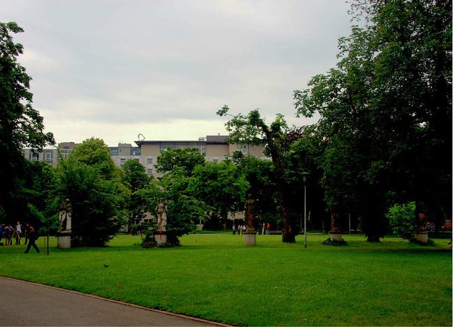 timg (10)