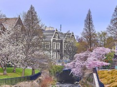奥塔哥大学校园环境 奥塔哥大学校园环境