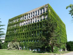 斯特拉斯堡大学校园环境 斯特拉斯堡大学校园环境