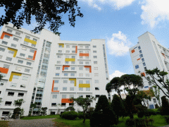 中央大学校园环境 中央大学校园环境