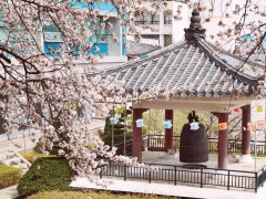 西江大学校园环境 西江大学校园环境