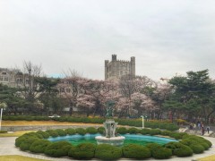 庆熙大学校园环境 庆熙大学校园环境