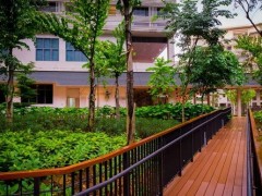 新加坡南洋理工大学校园环境 新加坡南洋理工大学校园环境