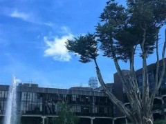 爱尔兰国立高威大学校园环境 爱尔兰国立高威大学校园环境